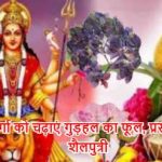 मां दुर्गा को चढ़ाएं गुड़हल का फूल, प्रसन्न होंगी शैलपुत्री