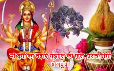 मां दुर्गा को चढ़ाएं गुड़हल का फूल, प्रसन्न होंगी शैलपुत्री