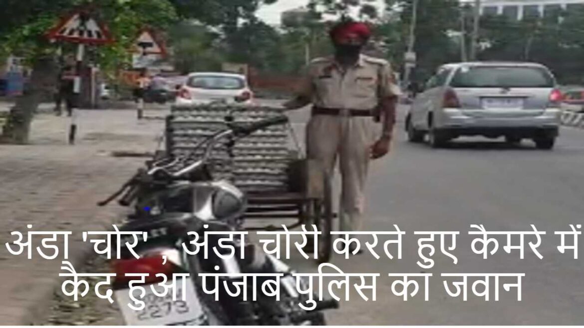अंडा 'चोर' , अंडा चोरी करते हुए कैमरे में कैद हुआ पंजाब पुलिस का जवान