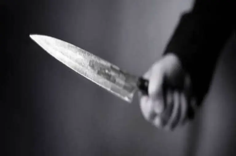 UP News: पत्नी ने चाकू से रेता पति का गला