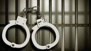 Amritsar News: Heroin smuggler woman arrested, pistol recovered