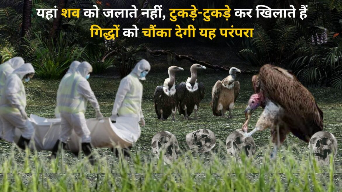 यहां शव को जलाते नहीं, टुकड़े-टुकड़े कर खिलाते हैं गिद्धों को चौंका देगी यह परंपरा